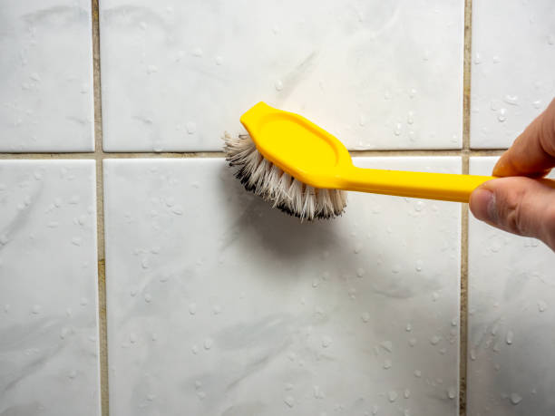 Best Fast Mold Removal  in Imperial, MO