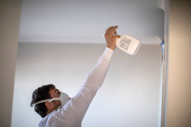Best Attic Mold Removal  in Imperial, MO