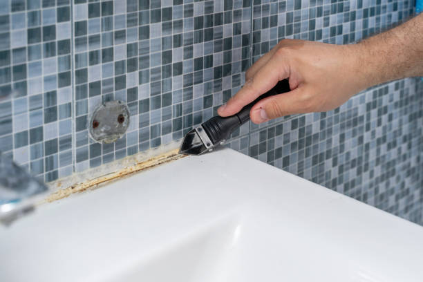Best Mold Damage Repair  in Imperial, MO